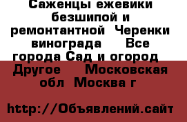 Саженцы ежевики безшипой и ремонтантной. Черенки винограда . - Все города Сад и огород » Другое   . Московская обл.,Москва г.